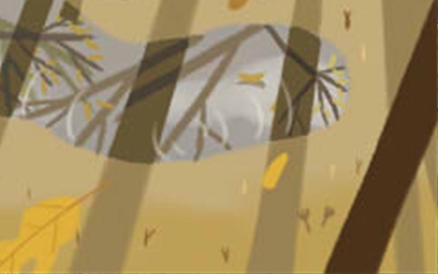 最塔罗每日星座运势【2016年5月19日】