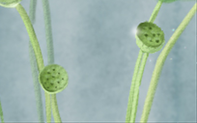 每少每日摩羯座运势【2016年5月23日】