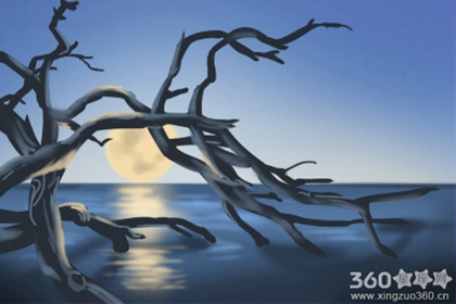 最塔罗每日星座运势【2016年6月6日】