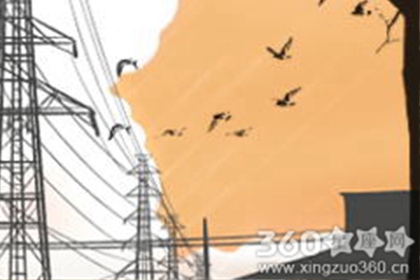 狮子座的星座性格解析，这些你有了解？