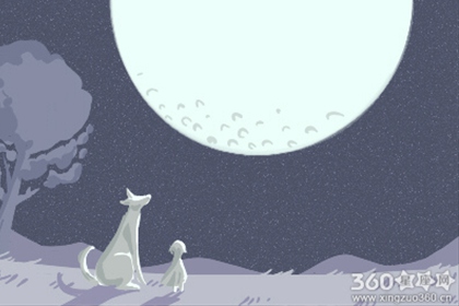 星座排行
