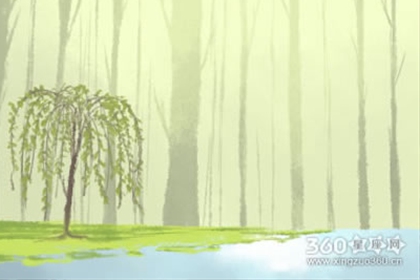 YAO叔每日星座运势【2016年6月14日】