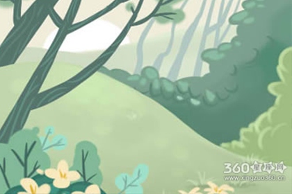 中时命数每日星座运势【2016年6月15日】