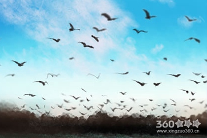 最塔罗每日星座运势【2016年6月17日】