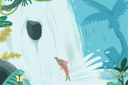 诡魅塔罗每日星座运势【2016年6月20日】