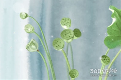 判答每周星座运势【2016.6.20-6.26】