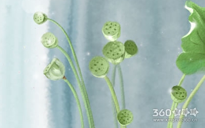 邵雍《梅花诗》第六首解析