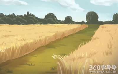 最塔罗每日星座运势【2016年6月24日】