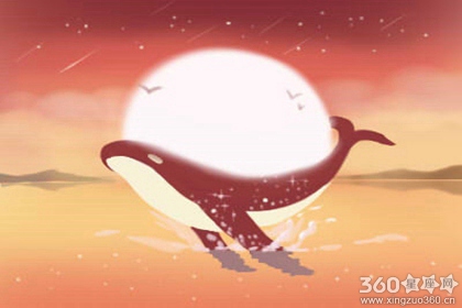 意淫一下！和12星座网红谈恋爱是什么体验