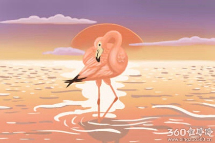 性格测试