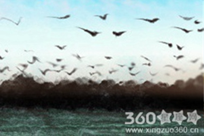 星吧GEO每日星座运势【2016年7月11日】