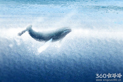 EllEHK每日星座运势【2016年7月18日】