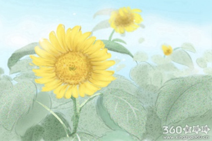 重阳节礼物