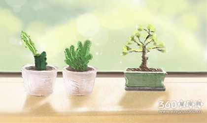 唐立淇每周星座运势