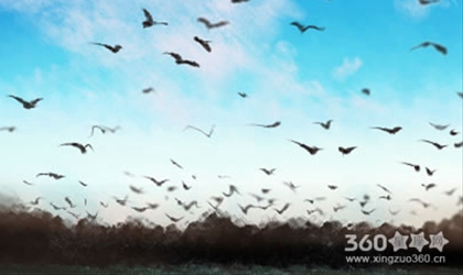 一爱天蝎深似海，从此脾气是路人