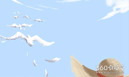 YAO叔每日星座运势【2016年8月9日】