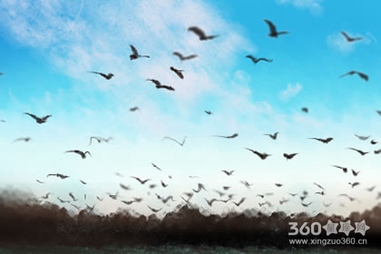 有些星座失恋白天挺好的，晚上就废了