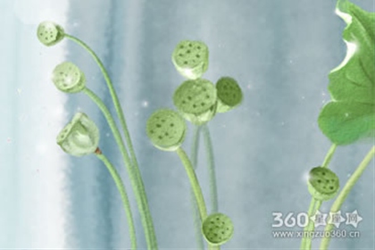 诡魅塔罗每日星座运势【2016年9月18日】