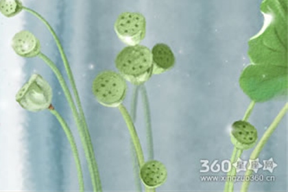 最烦相亲！这些星座男想要自己的爱情