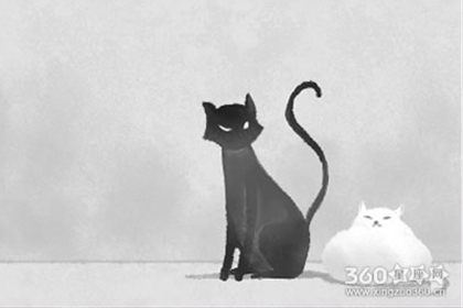 猫石对话每日运势【2016年8月24】
