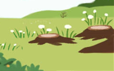 诡魅塔罗每日星座运势【2016年9月12日】