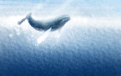 属鼠的人开什么颜色的车好及出行禁忌