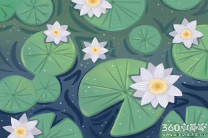 YAO叔每日星座运势【2016年10月10日】