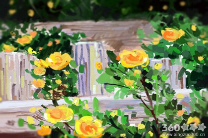 Pandora占星小巫塔罗每周星座运势【2016.10.11-10.17】