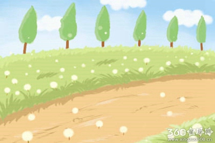 城市的喧哗 对狮子座有影响吗？