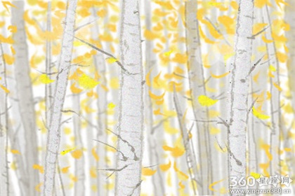 YAO叔每日星座运势【2016年10月14日】