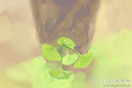 情感账户 白羊座账户有料