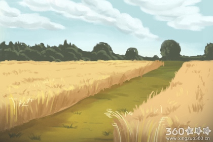 艾菲尔每周星座运势【2016.10.17-10.23】