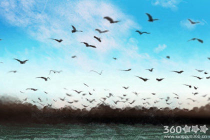 爱情保鲜期已过 双子座何去何从？