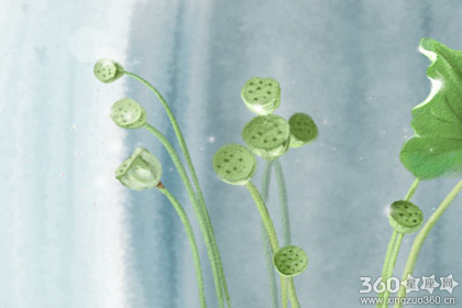 海百合每日星座运势【2016年10月21日】