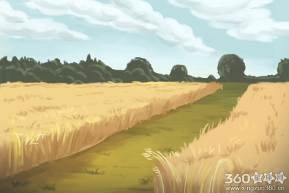 丹雪凯里每日星座运势【2016年11月10日】