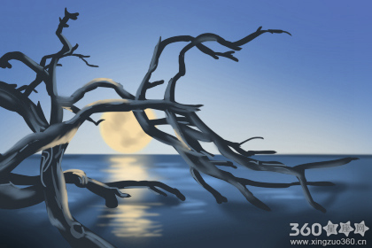 丹雪凯里每日星座运势【2016年11月12日】