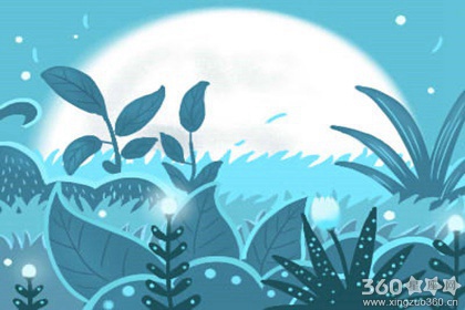 丹雪凯里每日星座运势【2016年11月17日】