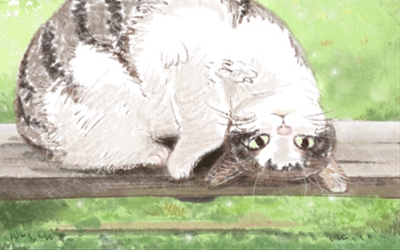 猫石对话每日运势