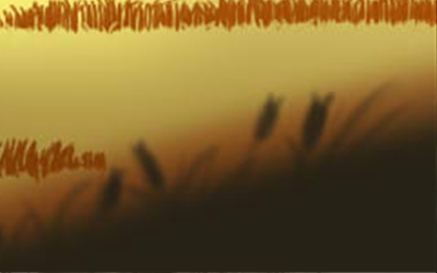 属鼠的男人真爱上一个人的表现有哪些？