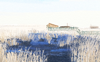 狮子座选手机主要关注啥？