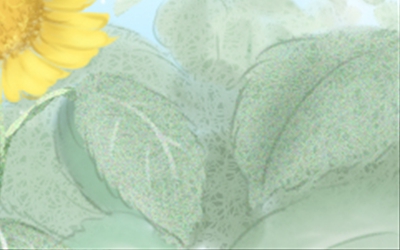 海百合每日星座运势