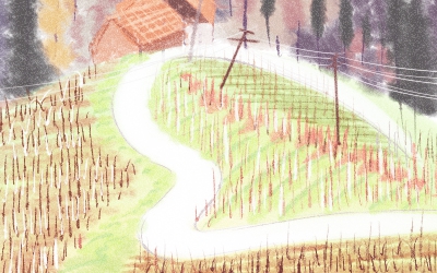 梦见迷路