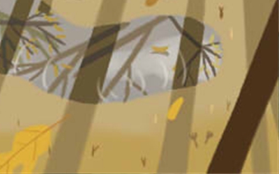 理智的摩羯座有什么性格缺点？