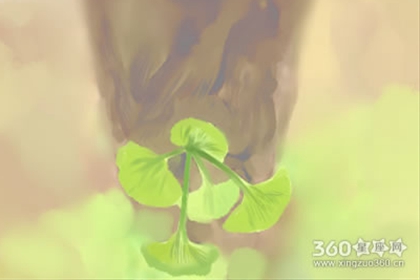 30岁的金牛座对20岁的自己说些什么？