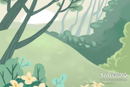 单身的天蝎座一个人在家会做哪些事情