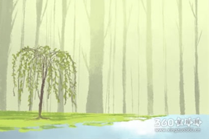 彼特每周星座运势【2016.12.6-12.12】