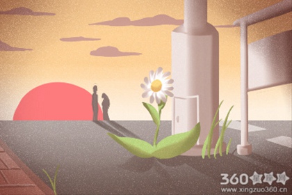 这才叫倔！金牛座倔起来连自己都怕