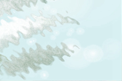 跟处女座借钱会有什么样的后果？