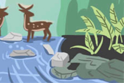 出去旅行天秤座带什么出门