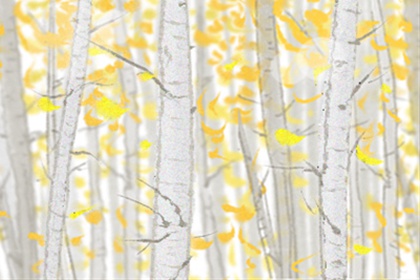 山水清澈每周星座运势【2016.12.18-12.24】